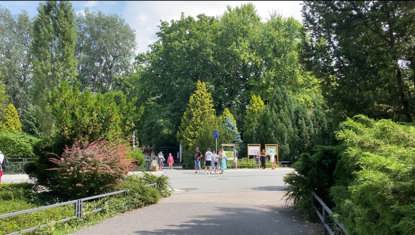 Jakie zasady obowiązują w warszawskim ogrodzie zoologicznym?