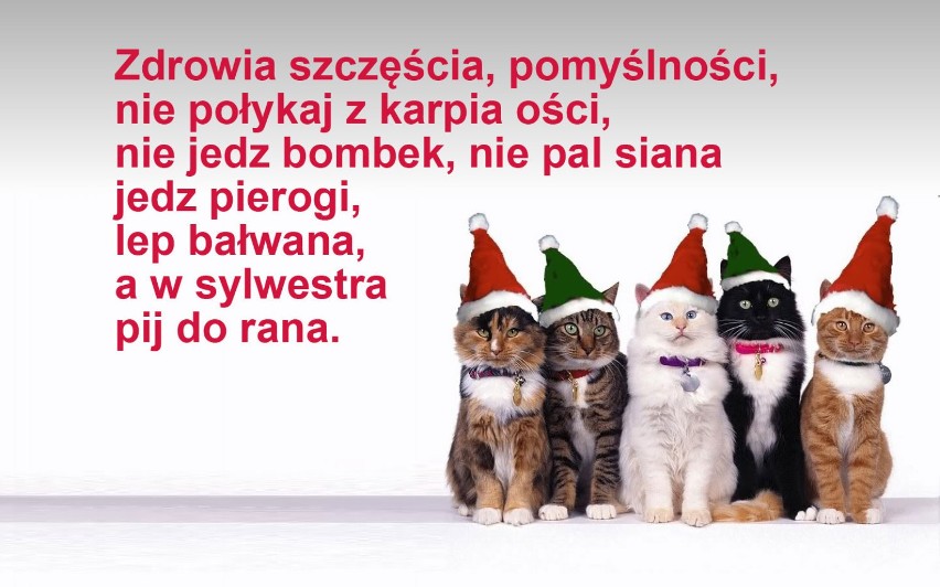 Życzenia Boże Narodzenie 2017. Jakie życzenia powinno się...