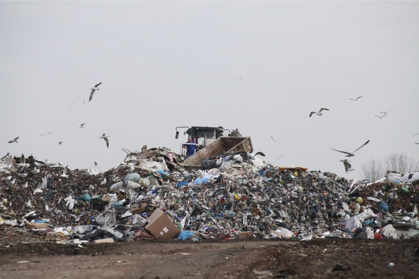 Oferty na odbiór odpadów z terenu Opola okazały się droższe...