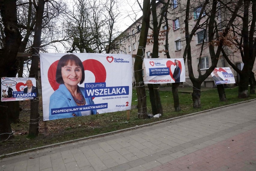 Taka była plakatowa samorządowa kampania wyborcza w Legnicy, zobaczcie zdjęcia