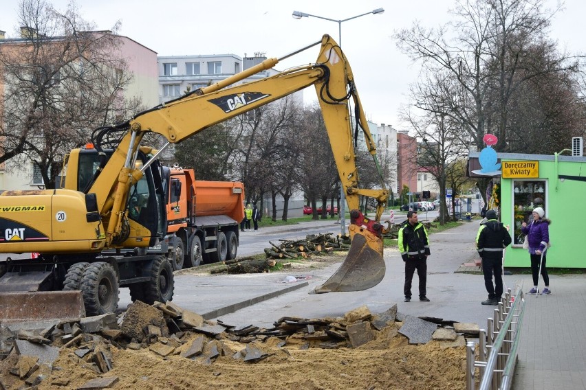 Przebudowa dróg w Tarnobrzegu ruszyła: Wycinka drzew i utrudnienia dla pieszych przy ulicach Moniuszki i Kochanowskiego. Zobacz zdjęcia 