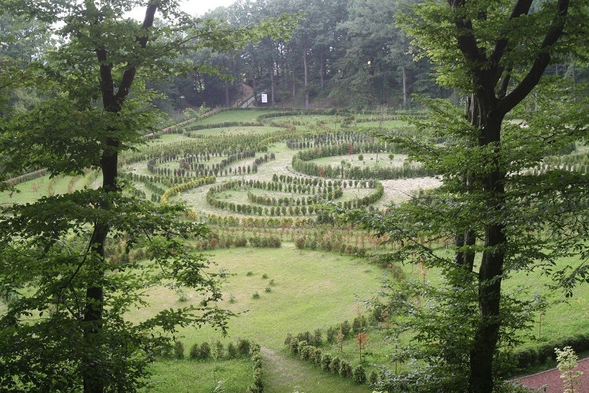 Racibórz: W arboretum Bramy Morawskiej będzie krąg jak Stonehenge