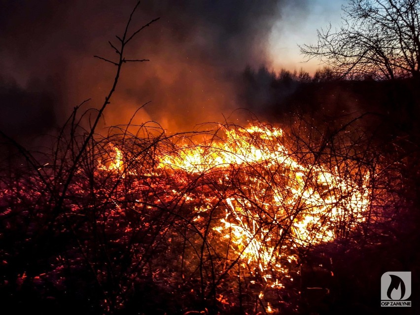 Pożary w gminie Wręczyca Wielka