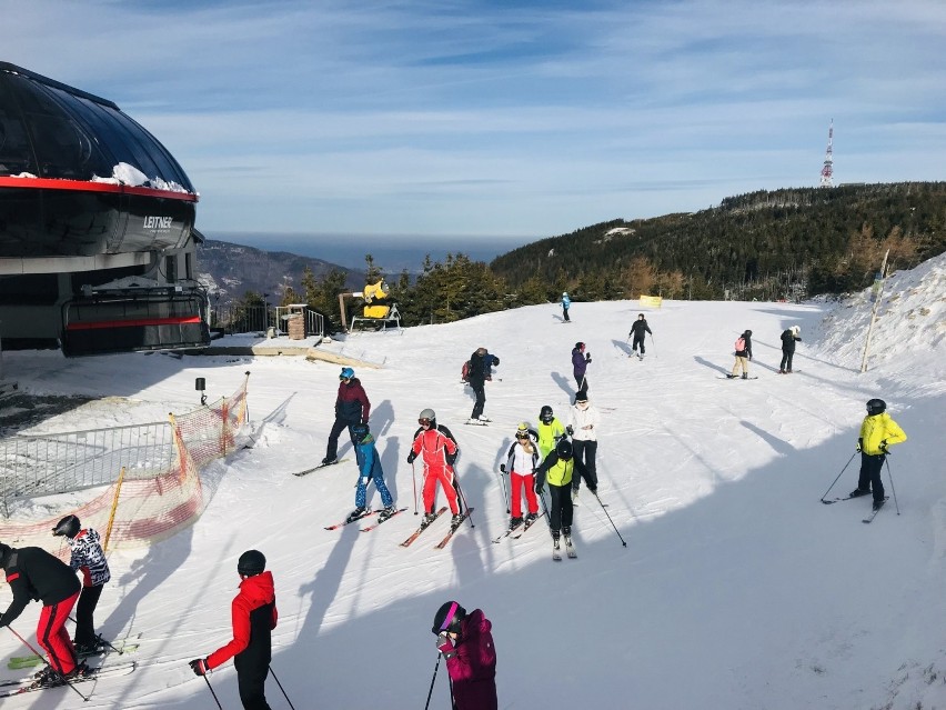 Beskid Śląski. Tuż pod szczytem Skrzycznego znów szusuje...