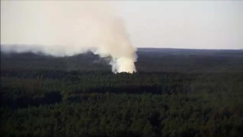 Gmina Wolsztyn: Pożar lasu w okolicach Świętna [FOTO]
