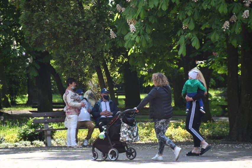 W niedzielę 17 maja Park Miejski w Kielcach znów przeżywał...