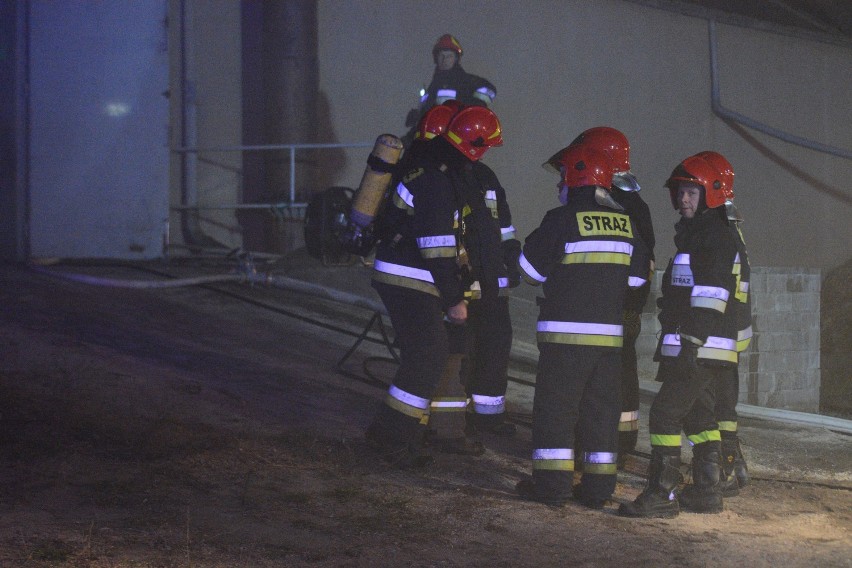Pożar w zakładzie przy ul. Waryńskiego w Grudziądzu. Są duże straty[wideo, zdjęcia]