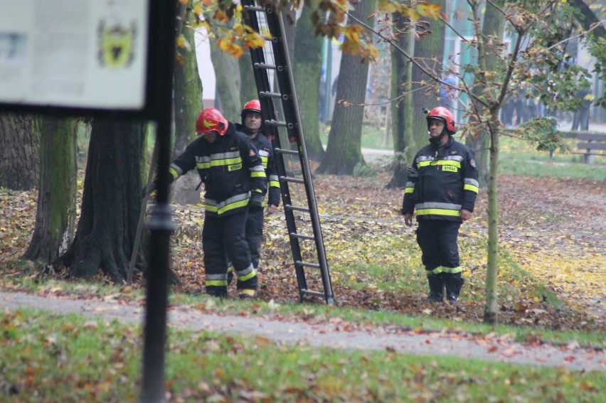 Co robili strażacy w Parku Miejskim? [ZDJĘCIA]