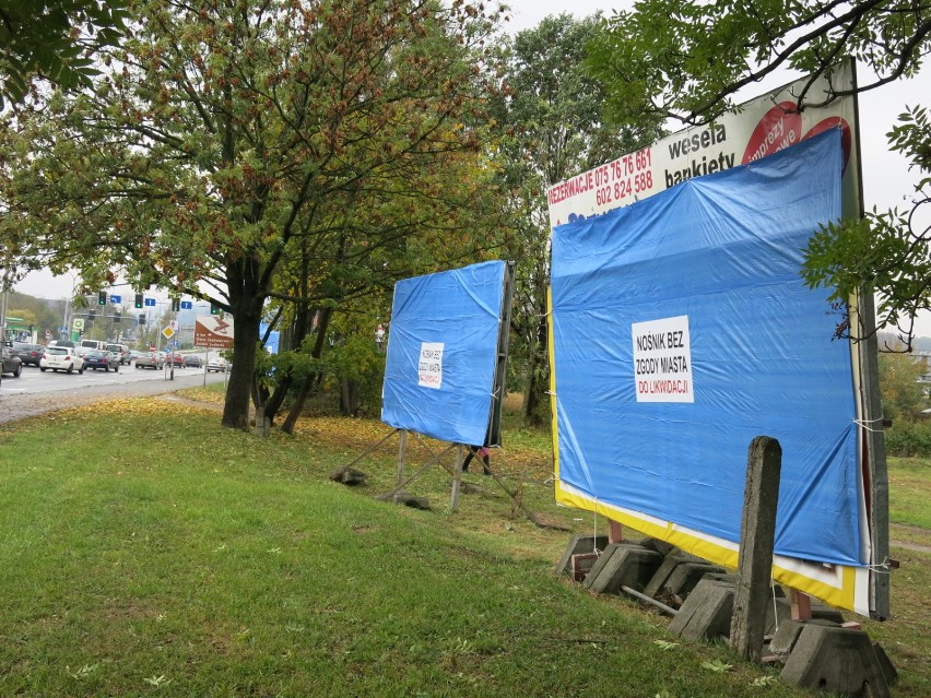 Jelenia Góra: Zaklejone billboardy wyborcze. Miasto walczy z nielegalnymi reklamami