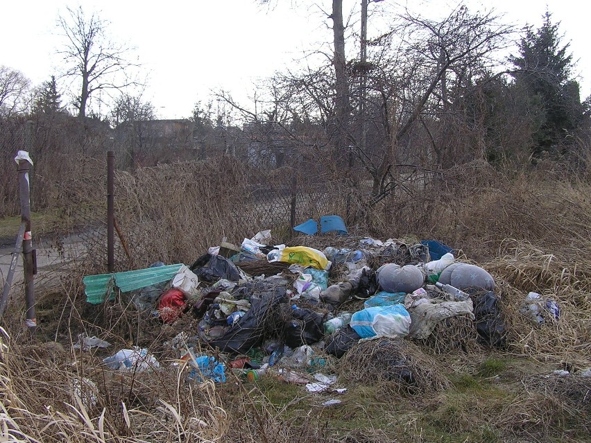 Razem posprzątajmy Trójmiasto: Na granicy Wrzeszcza i Zaspy też dużo śmieci. ZDJĘCIA
