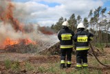 Pożar lasu? Akcja strażaków z czterech powiatów: żnińskiego, bydgoskiego, mogileńskiego i nakielskiego [zdjęcia] 