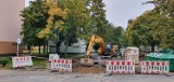 Leszno. Na Niemieckiej ruszyła budowa parkingów. Będą też wycinki drzew [ZDJĘCIA]