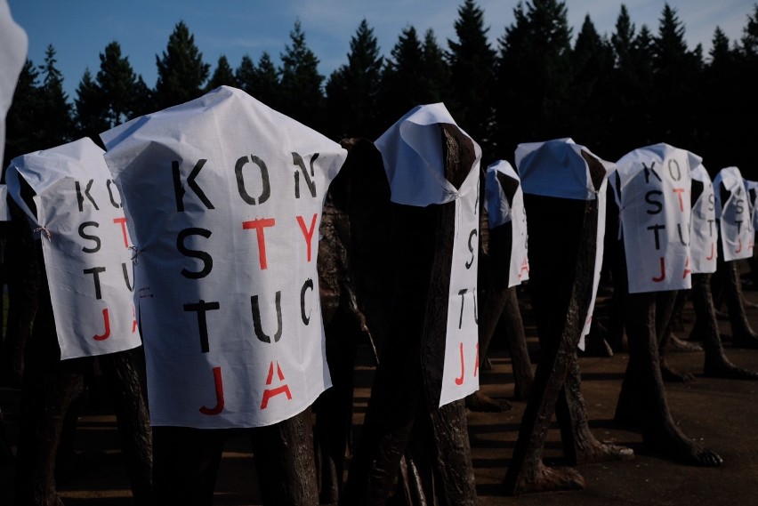 Koszulki "konstytucja" na "Nierozpoznanych" Magdaleny...