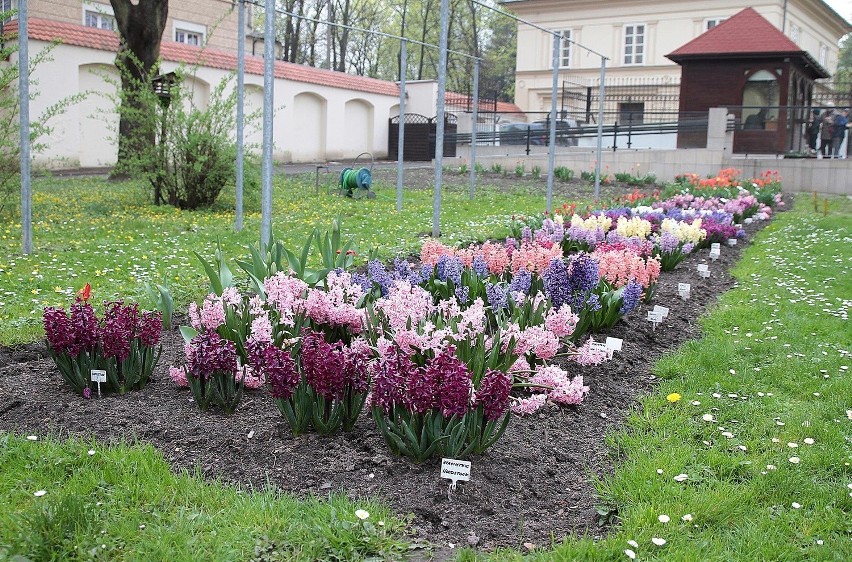 Ogród Botaniczny w Krakowie