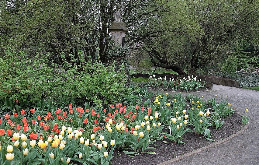 Ogród Botaniczny w Krakowie