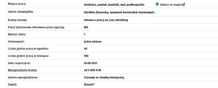 Aktualne oferty pracy w Jaśle i okolicy. Pracodawcy płacą nawet 7000 zł. Zobacz, kogo poszukują [SIERPIEŃ]