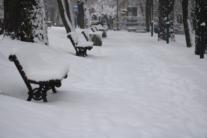 Atak zimy w Olkuszu (12 grudnia 2022)