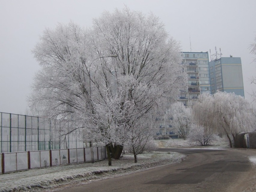 Zobacz zimę w obiektywie Leszka Kabacińskiego. Zdjęcia...