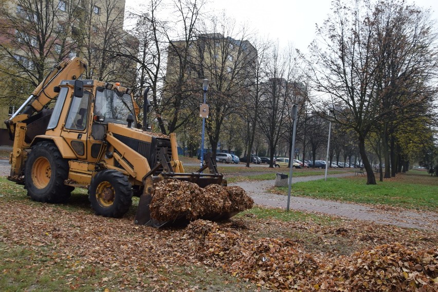 Sprzątanie jesieni na alei Niepodległości w Tychach