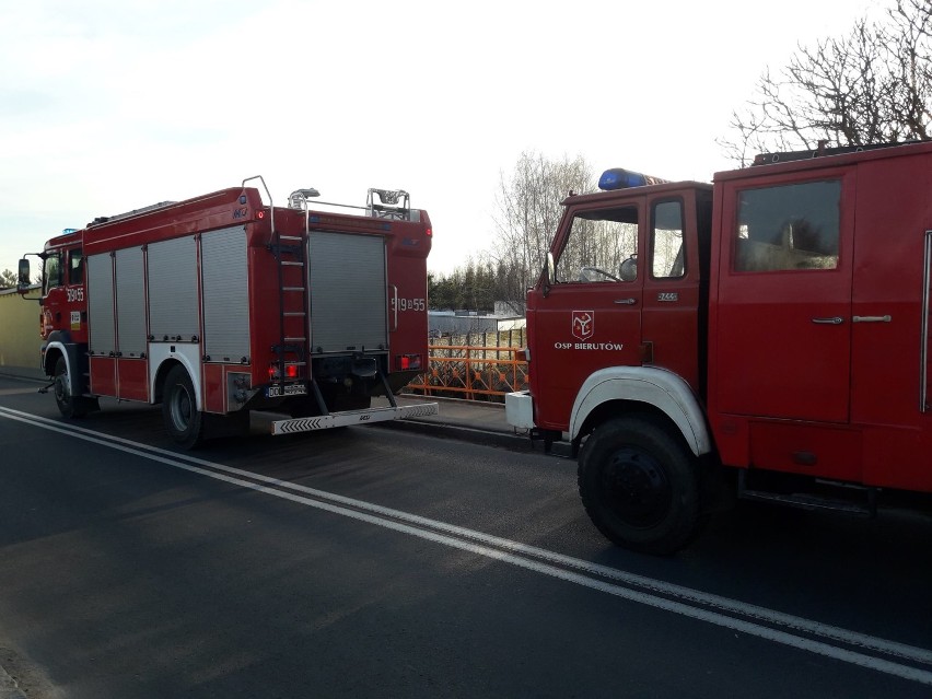 Bierutów: Kolejny pożar nieużytków (ZDJĘCIA)   