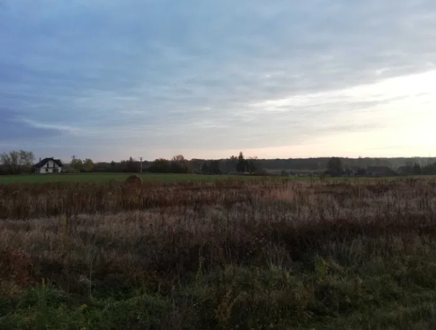 Cztery działki budowlane uzbrojone położone bezpośrednio w...