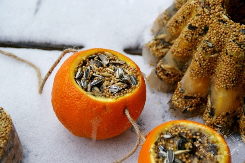 Karmniki ze skórki pomarańczy bardzo efektownie się...