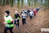 Za nami kolejny bieg City Trail w Puszczy Bukowej [ZDJĘCIA]