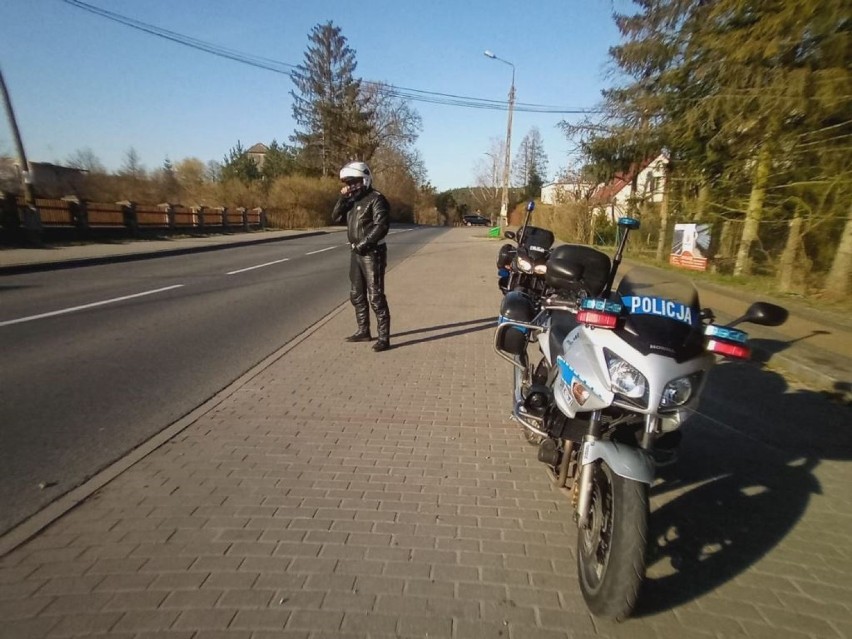 Z obecnej pogody cieszą się z pewnością miłośnicy...