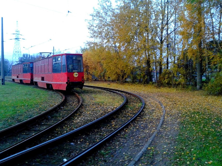 Jesienny Toruń 2014