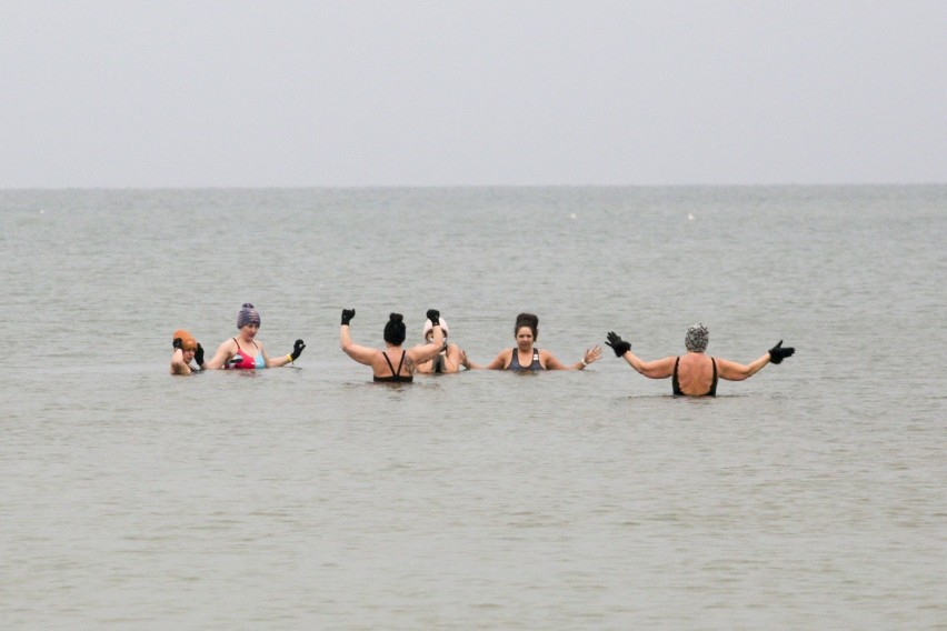 Morsy przywitały Nowy Rok na plaży w Ustce. Spacerowiczów nad morzem nie zabrakło [ZDJĘCIA]