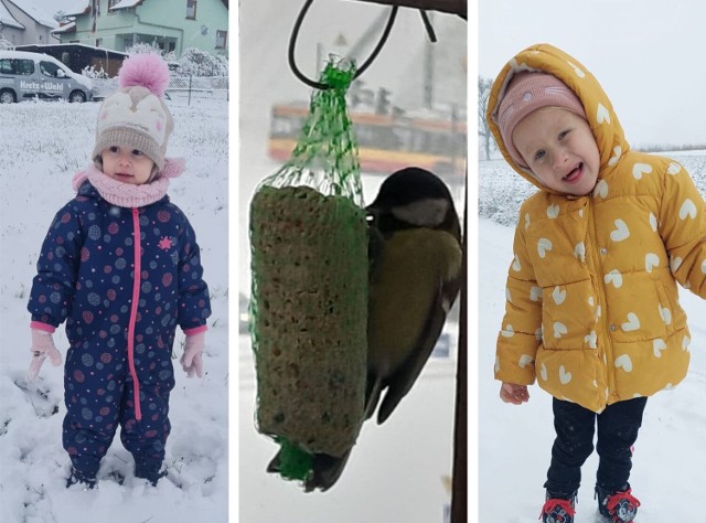 Zdjęcia "pierwszego dnia zimy" wykonane przez naszych Czytelników z Grudziądza i okolic zobaczcie w galerii>>>>>>>>>>