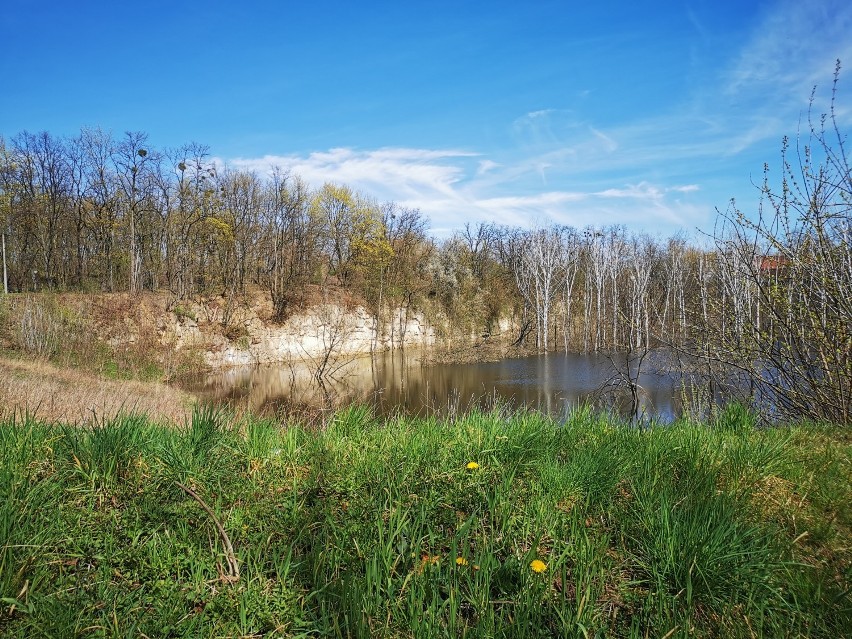 Chrzanów. Skała w wiosennej odsłonie. Chrzanowskie „Morskie Oko” kusi mieszkańców [ZDJĘCIA]