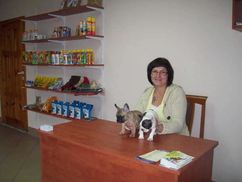 CIEKAWOSTKA - Fryzjer dla psa i kota już istnieje w Wągrowcu