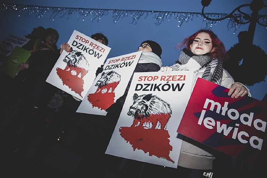 Rybnik: "Stop rzezi dzików". Protest ekologów na rynku w...