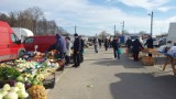 Warzywa i owoce na targowisku miejskim w Ostrowcu Świętokrzyskim. Najlepiej się sprzedają jabłka, ziemniaki i włoszczyzna. Jakie ceny?