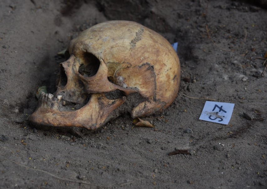 Prace archeologiczne w Nowym Porcie. Odnaleziono szkielety w...