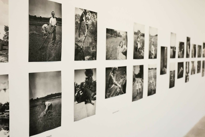 W MOCAK-u wystawa poświęcona fotografiom autorstwa Agnieszki...