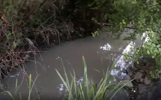 Od kilku tygodni rzeka Kopel zabarwiona jest na mętny kolor, a mieszkańcy skarżą się że nad rzeką unosi sie fetor i nie mają czym oddychać. Do Kopli spuszczane są ścieki.