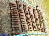 Policjanci przechwycili bombę i ponad 100 kg materiałów wybuchowych pod Warszawą