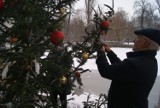Choinka na Prośnie. W Kaliszu wodniacy ustawili świąteczne drzewko w nurcie rzeki. ZDJĘCIA