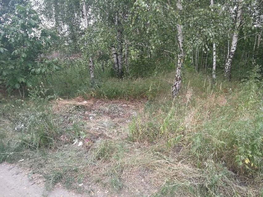 Straż miejska w Kaliszu namierzyła mężczyznę, który wywiózł gruz do lasu. ZDJĘCIA