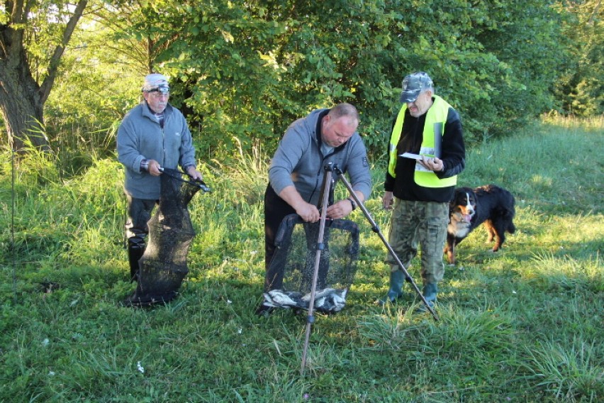 Nocne zawody wędkarskie radziejowskiego koła PZW 181