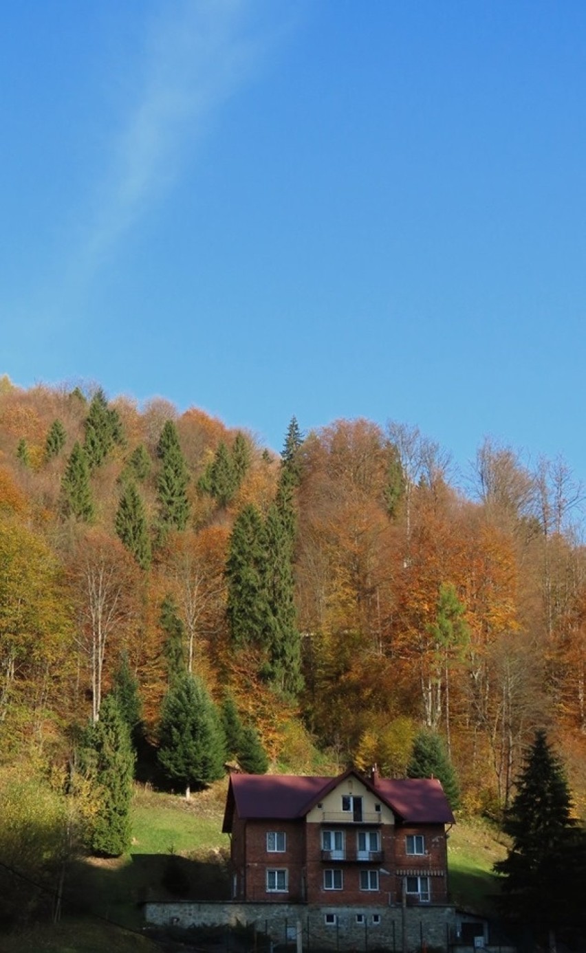 Jesienny spacer w Żegiestowie. Uzdrowisko prezentuje się uroczo