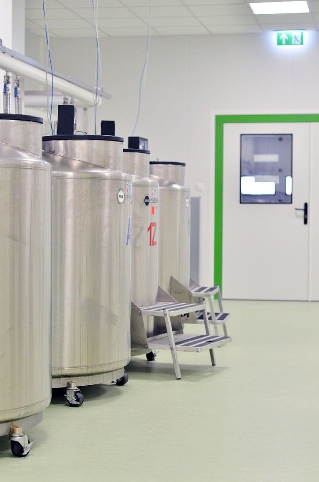 Największe laboratorium w Warszawie do preparowania krwi pępowinowej
