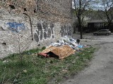 Sterty śmieci ciągle straszą w różnych częściach Poznania