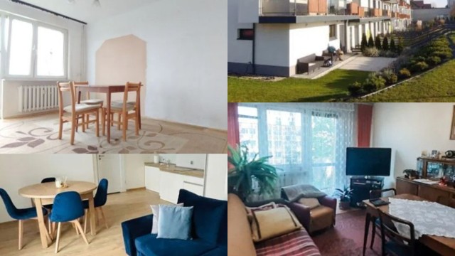W Busku-Zdroju jest dużo mieszkań na sprzedaż. Zobacz najciekawsze oferty wraz ze zdjęciami. Fotografie pochodzą z serwisu otodom.pl

>>>Więcej na kolejnych slajdach