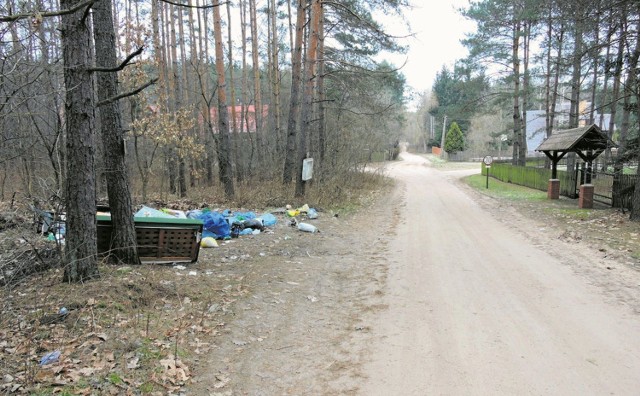 Taki widok tuż za oknami najwyraźniej nie przeszkadza właścicielom pobliskich posesji