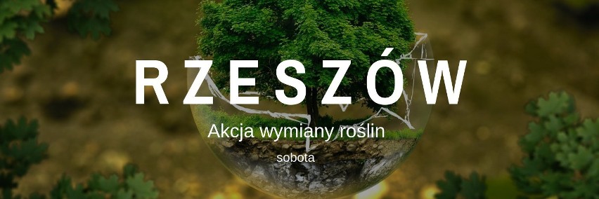 Sobota, 25 maja, godz. 10 - 12. Osiedle Miłocin. W zatoczce...