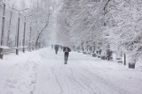 Jaka pogoda w Polsce? Śnieg, mróz, silny wiatr, zawieje i zamiecie śnieżne. Prognoza pogody dla Polski