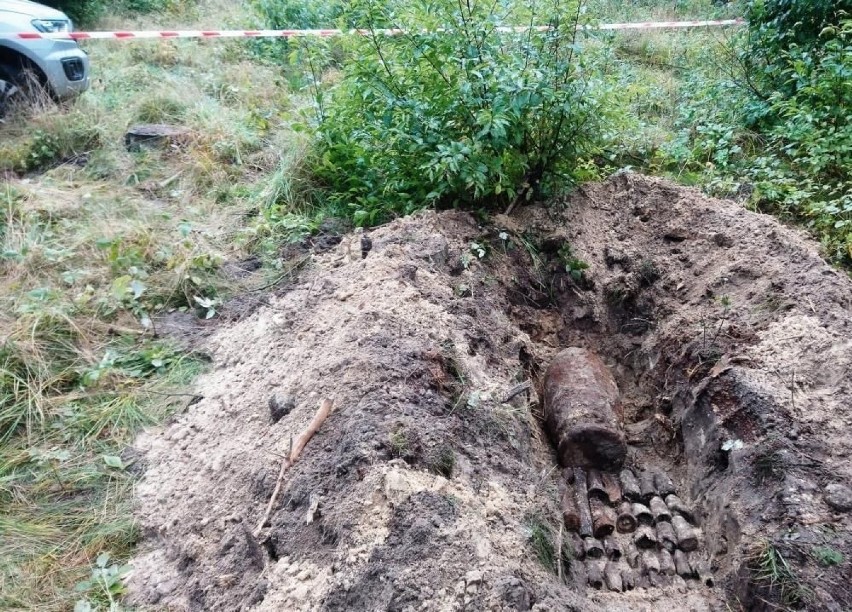 Powiat tucholski. W nadleśnictwie Zamrzenica znów znaleziono wojenne „pamiątki”